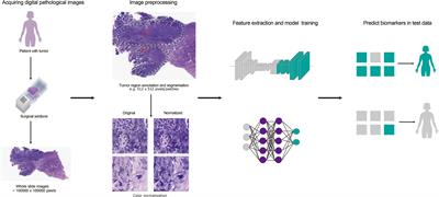 Evaluating Cancer-Related Biomarkers Based on Pathological Images: A Systematic Review